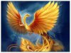 pheonix.jpg