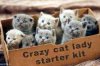 Crazy Cat Lady Starter Kit.jpg