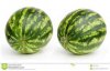 melons.jpg