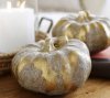pumpkins.jpg