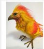 phoenix 2.JPG