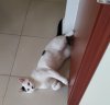 IMG_20200915_084653.jpg