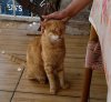 IMG_20200914_120353.jpg