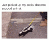 3F25F25D-A8EC-4046-90D3-425E4A66DD91.gif