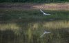 Landing gear down.jpg