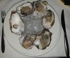 oysters.jpg