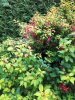 20200927_120826.jpeg