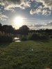 The pond 8.jpg