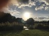 The pond 7.jpg