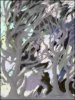 3768B3F2-91BC-47E7-AA88-AB1AD15DF4B3.jpeg