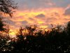 IMG_20201012_182037380_compress24.jpg
