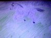 20201012_165612.jpg