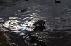 DSC_0129.jpg