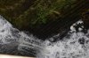 DSC_0182.jpg