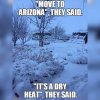 CA07484F-4A52-451F-A343-CD13B8889F9F.jpeg