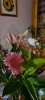JPEG_20201102_213117_2276313231509793974.jpg
