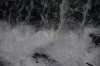 Water fall.jpg