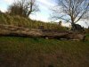 IMG_20201106_143215737_compress76.jpg