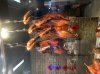3FF757FF-B2B3-4599-BCE1-C6F7FF276D9A.jpeg