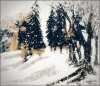 FA8D24C3-381F-4F73-835A-1DF3CEC3859D.jpeg