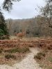 20201119_133739_copy_756x1008.jpg