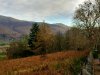 IMG_20201119_111755907_HDR_compress62.jpg