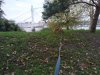IMG_20201127_134259~01.jpg