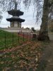 IMG_20201127_135535~01.jpg