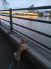 IMG_20201121_161611~01.jpg
