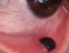 20201128_125858.jpg