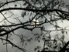5A3C7882-798A-442E-8E21-46BC33FD2DB5.jpeg