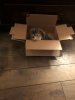 lola box 3.JPG
