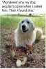 44D9C82C-413D-40E1-8D7F-18E3C7B09FFC.jpeg
