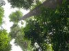 A316AC3C-B529-4BD1-80ED-C98BBCE730CB.jpeg