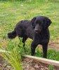 20201103_163955.jpg