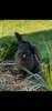 20201003_213208.jpg