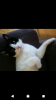 Screenshot_20201129-145059.png