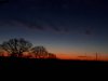20201225_072135.jpeg