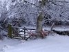 IMG-20210108-WA0002.jpg