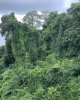 27E03DDE-D006-40A0-B406-8A09BD2234BD.jpeg