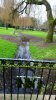 DSC_0037.JPG