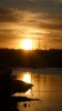 DEB01C2C-232E-46FC-9BC3-510BC2ED20E6.jpeg