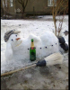 7C568205-D810-43F8-9568-CF8B85F3DAE2.png