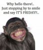 FB_IMG_1558096106528.jpg