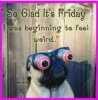 FB_IMG_1613155696638.jpg