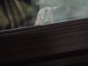 DSCN3532_compress2.jpg