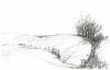 upload_2021-3-3_18-16-13.jpeg