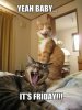 692c871bb94f2f1ab16a984f8aa6aded--so-funny-hilarious.jpg