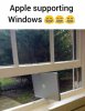 apple-memes.jpg