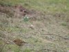 DSCN3770_compress46.jpg
